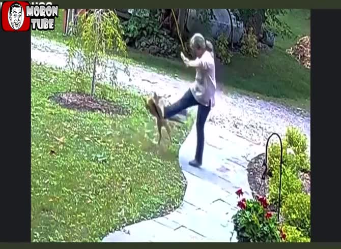 Video :Fox viciously assaults a woman in New York